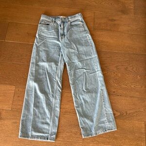 Everlane 28 The Baggy Jean